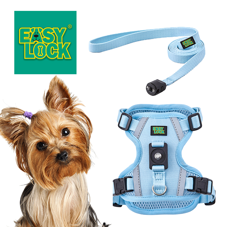 Dog Harness