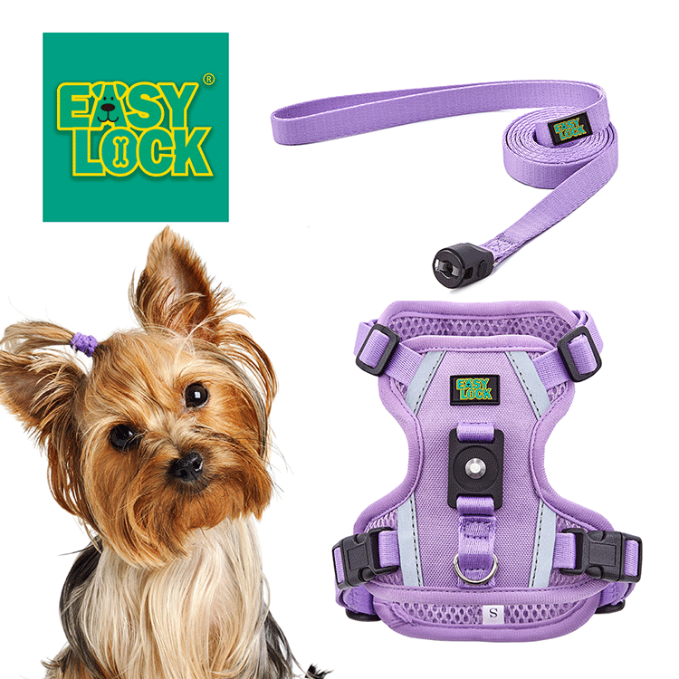 Dog Harness