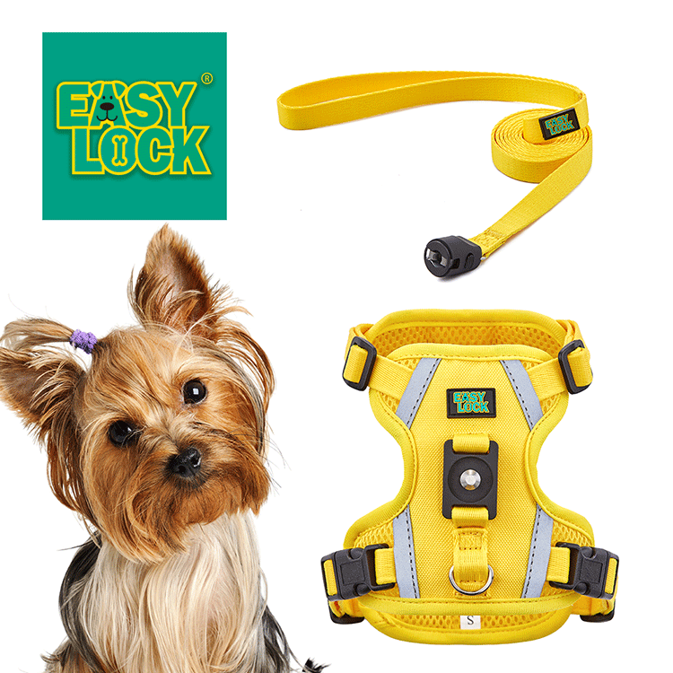 Dog Harness