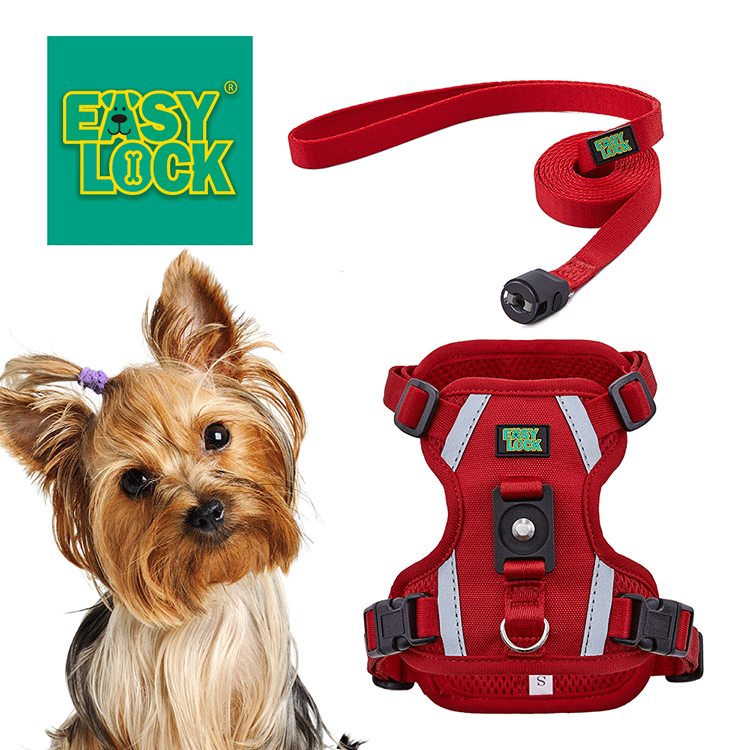 Dog Harness