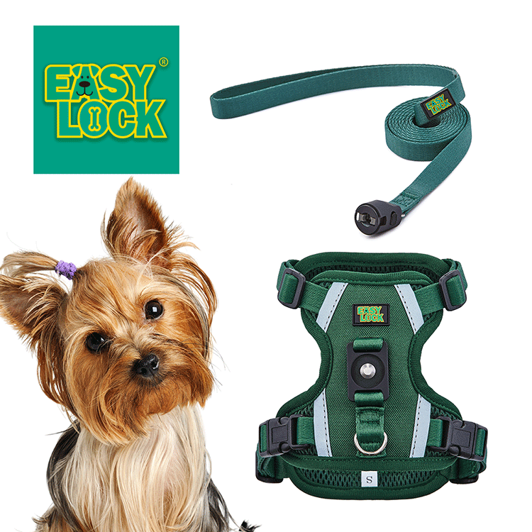 Dog Harness