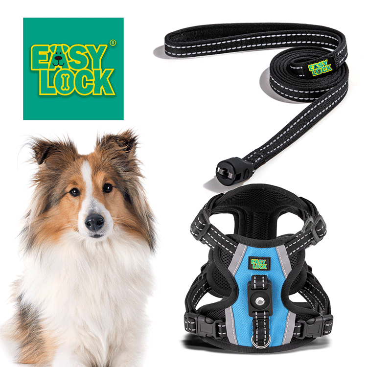 Dog Harness