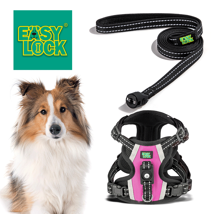 Dog Harness
