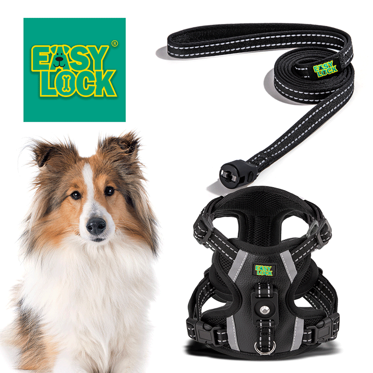 Dog Harness