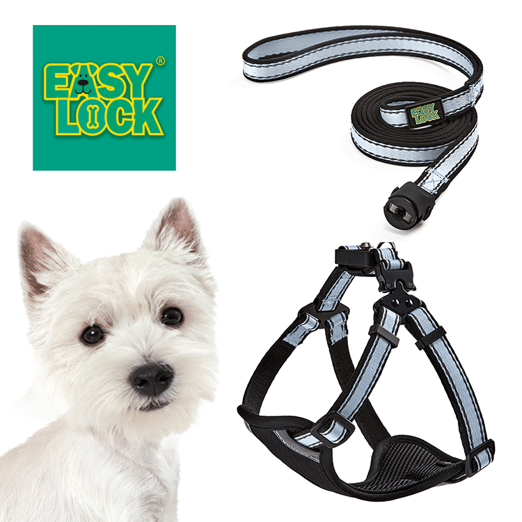 Light Weight Harness