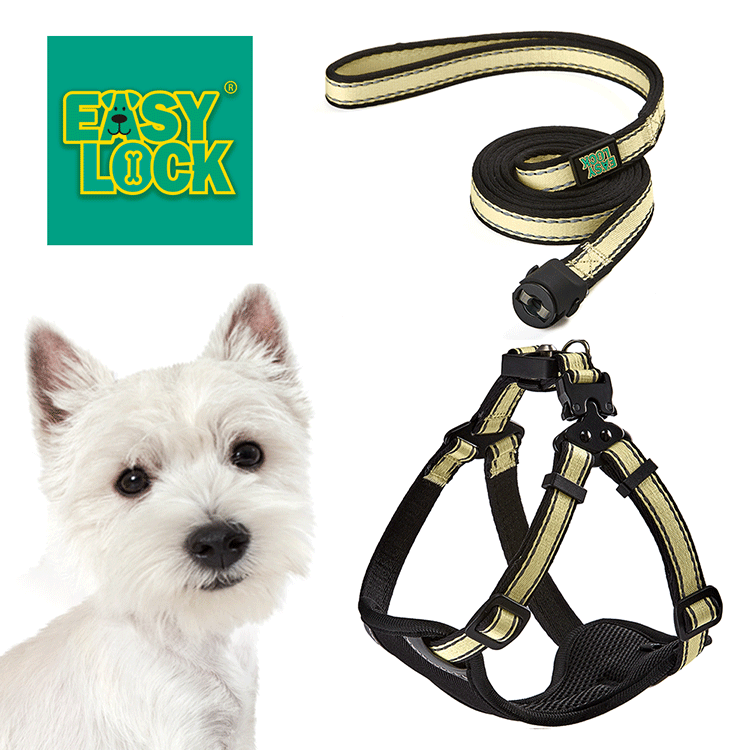 Light Weight Harness
