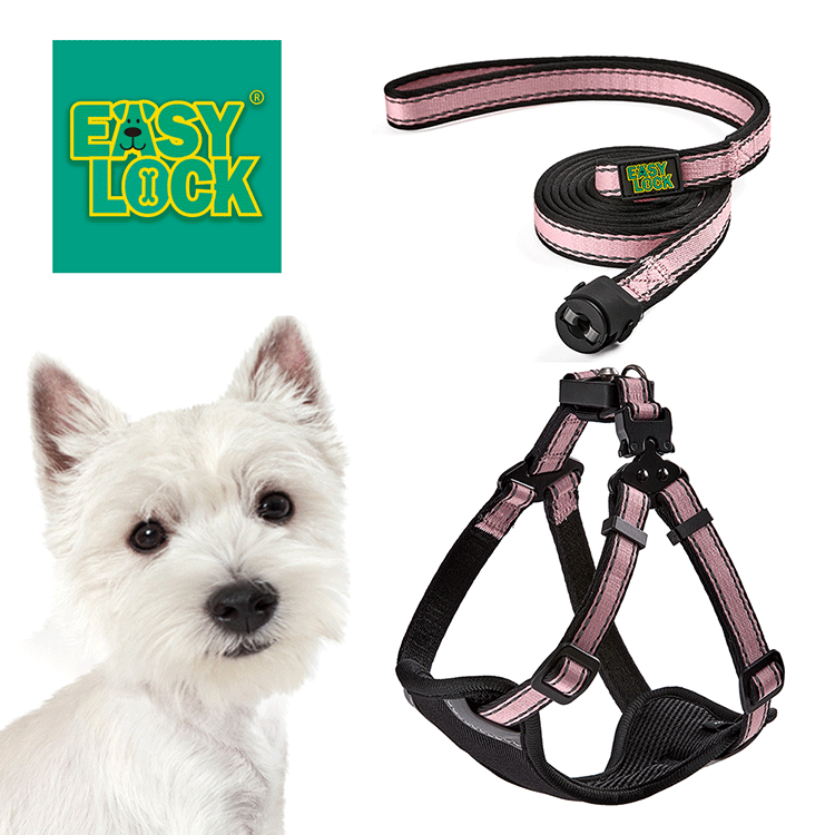 Light Weight Harness