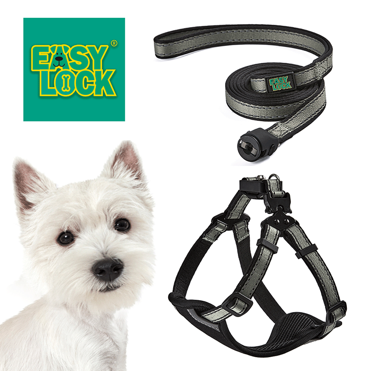 Light Weight Harness
