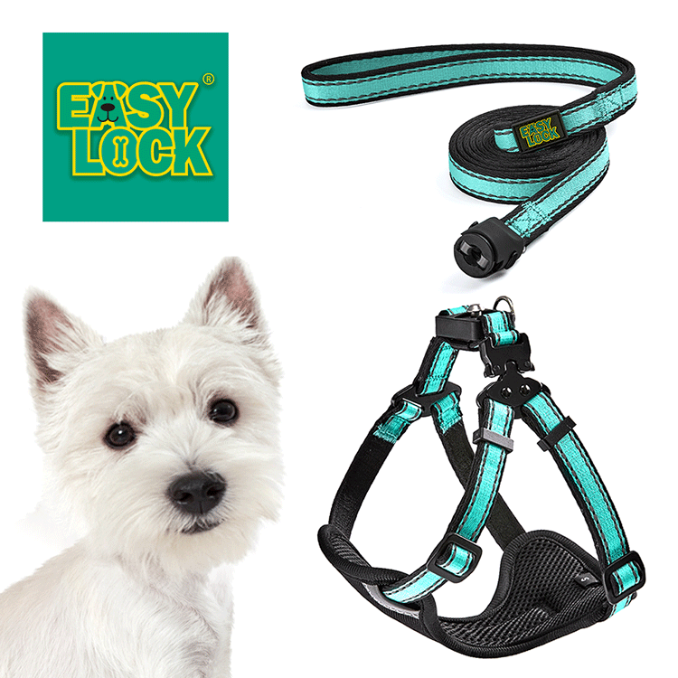 Light Weight Harness