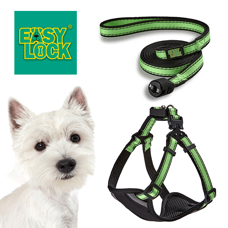 Light Weight Harness