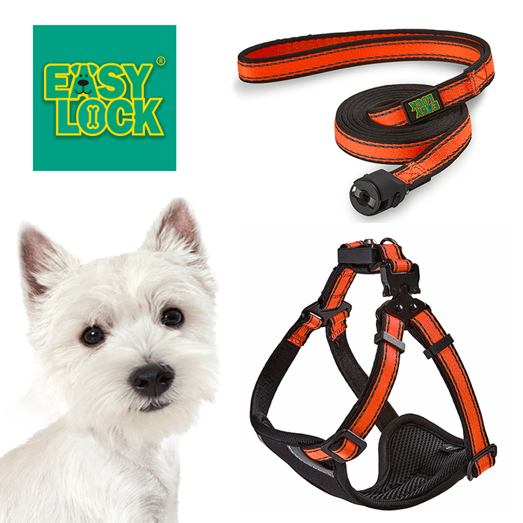 Light Weight Harness