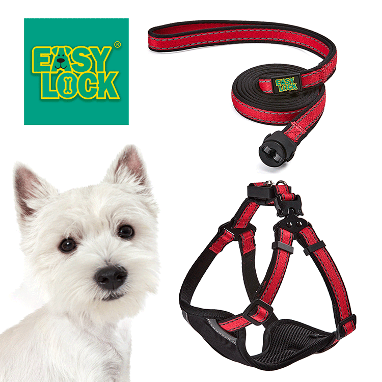 Light Weight Harness