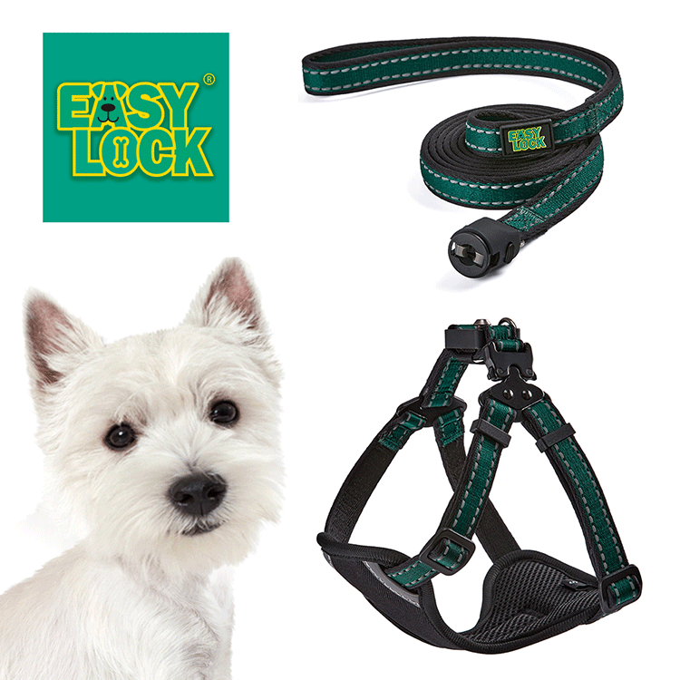 Light Weight Harness