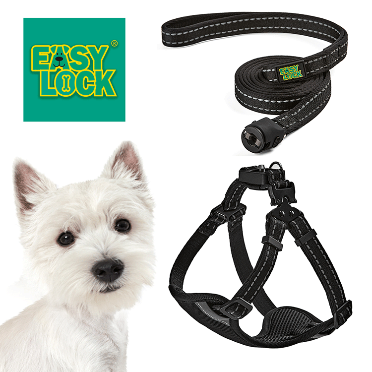 Light Weight Harness