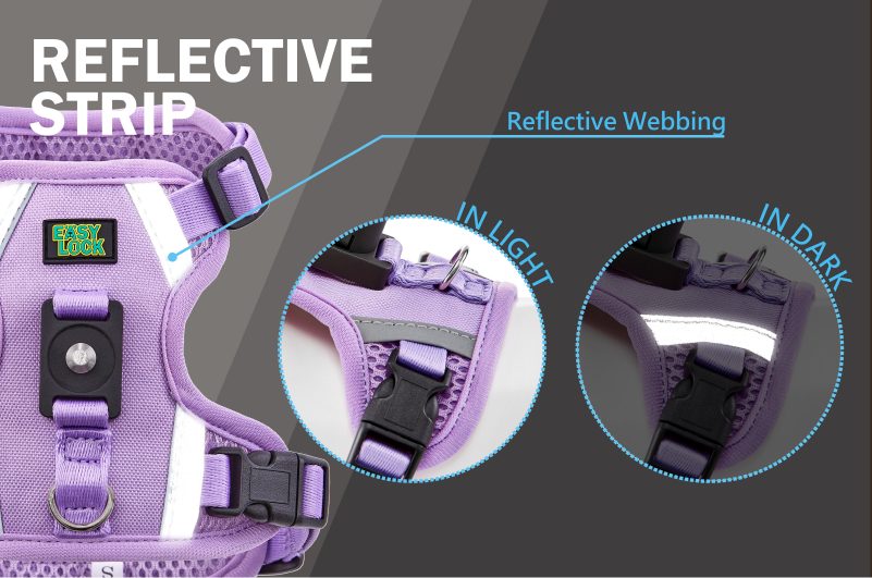 HS-LPP-WB-01.png